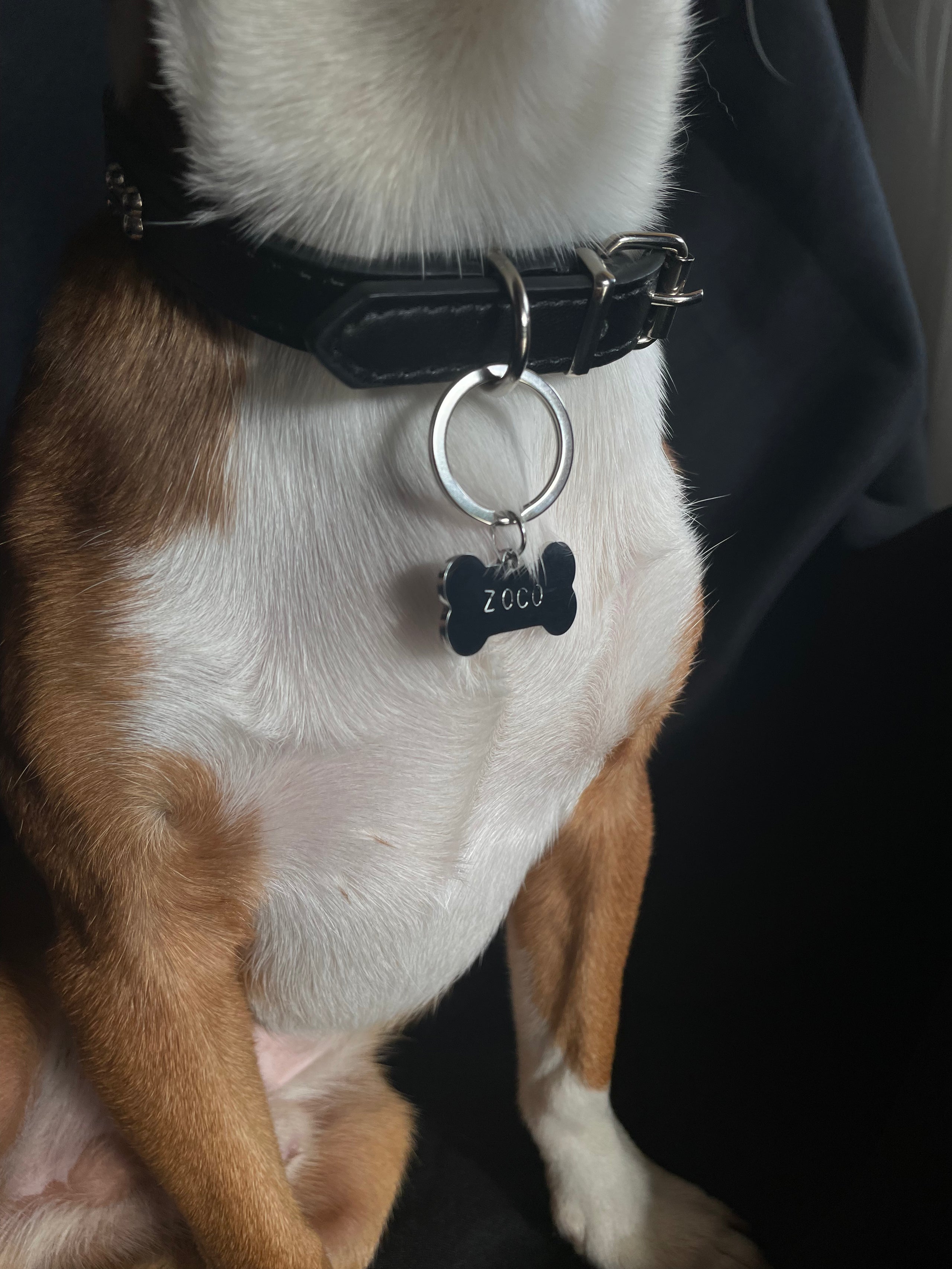 Accesorios