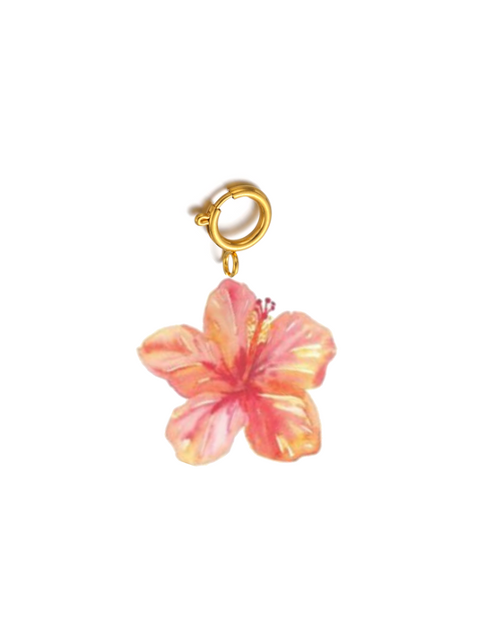 ARLIVI | Hibisco