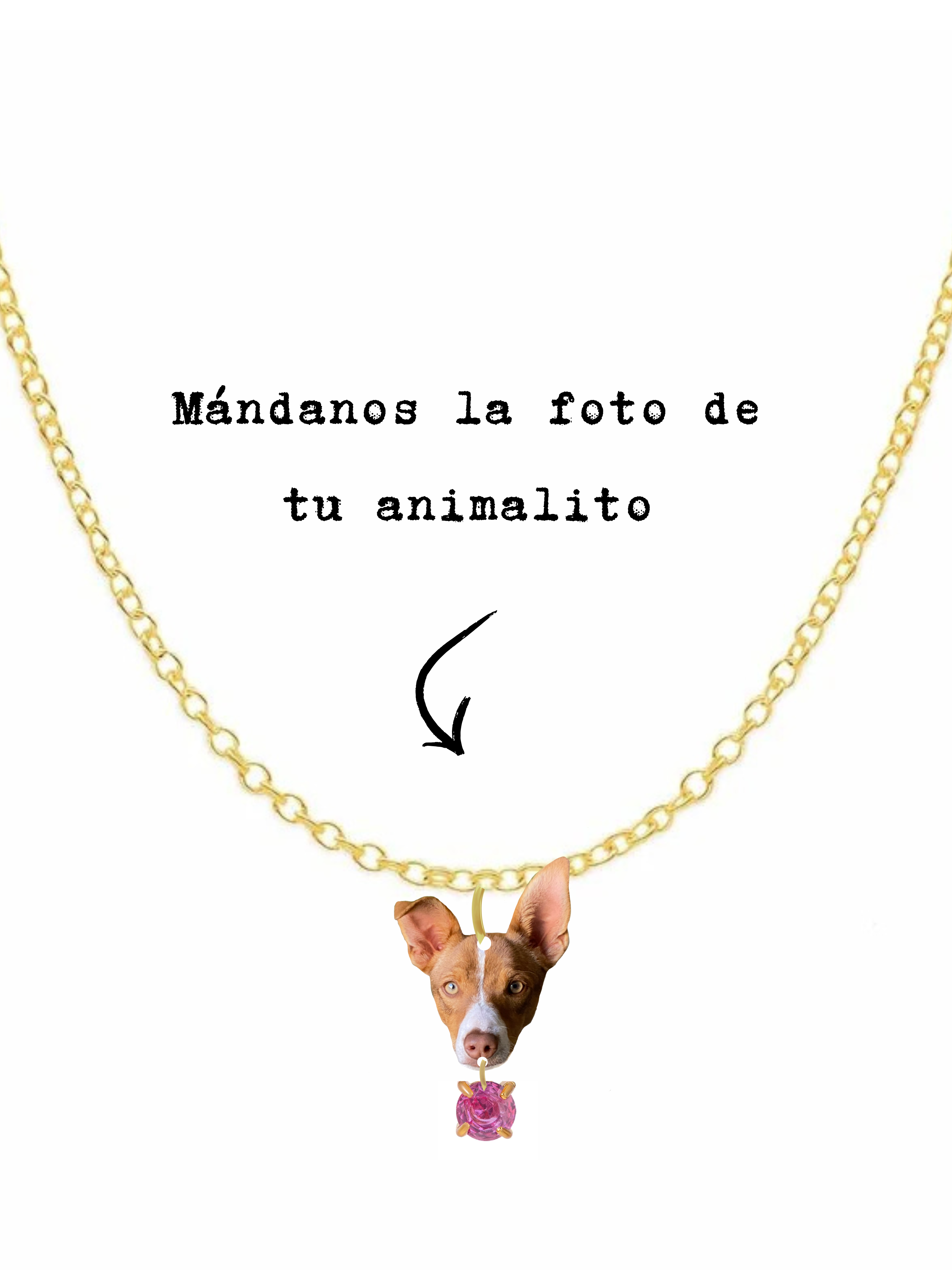 ARLIVI'S | Collar Animalito