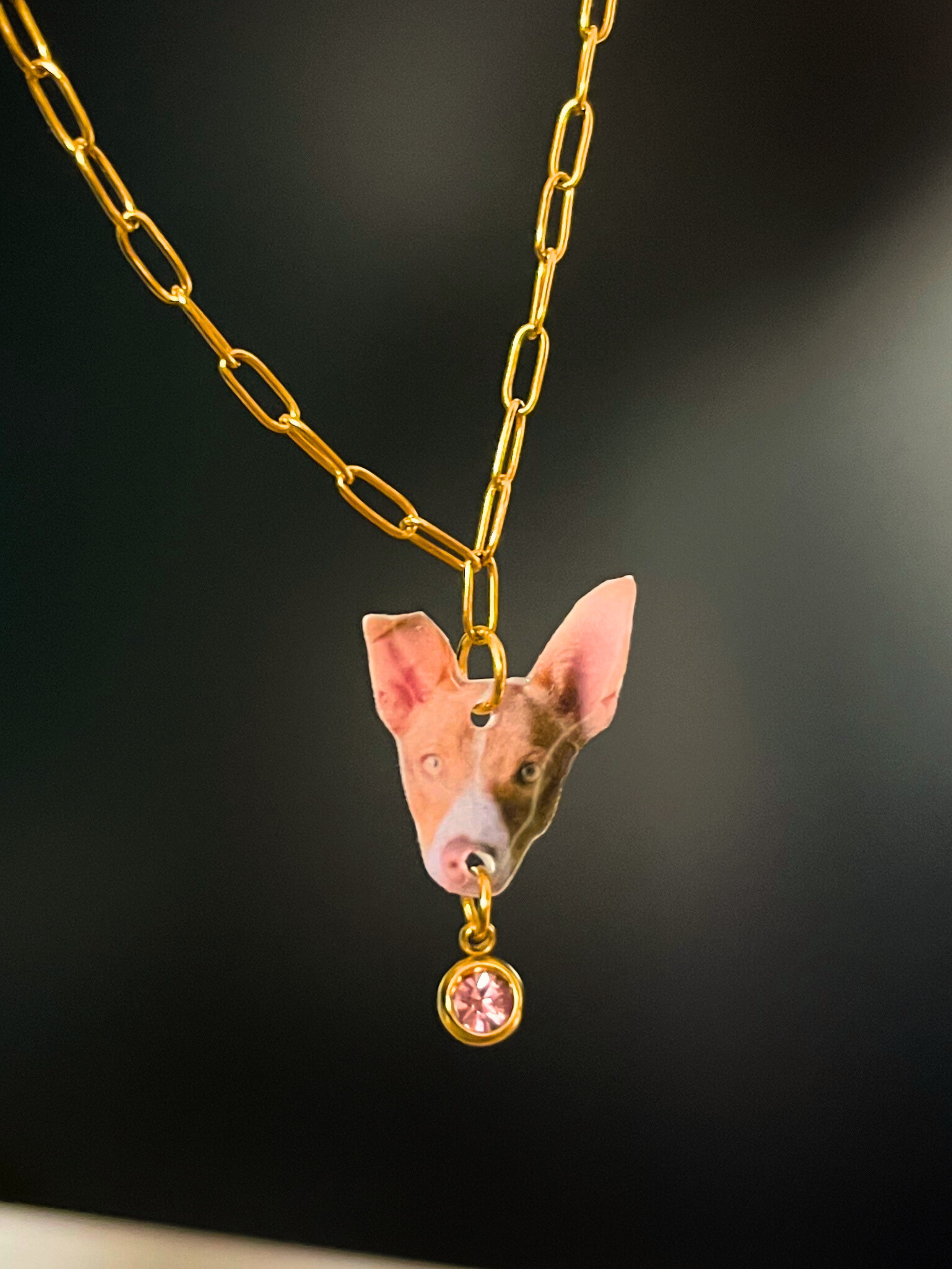 ARLIVI'S | Collar Animalito
