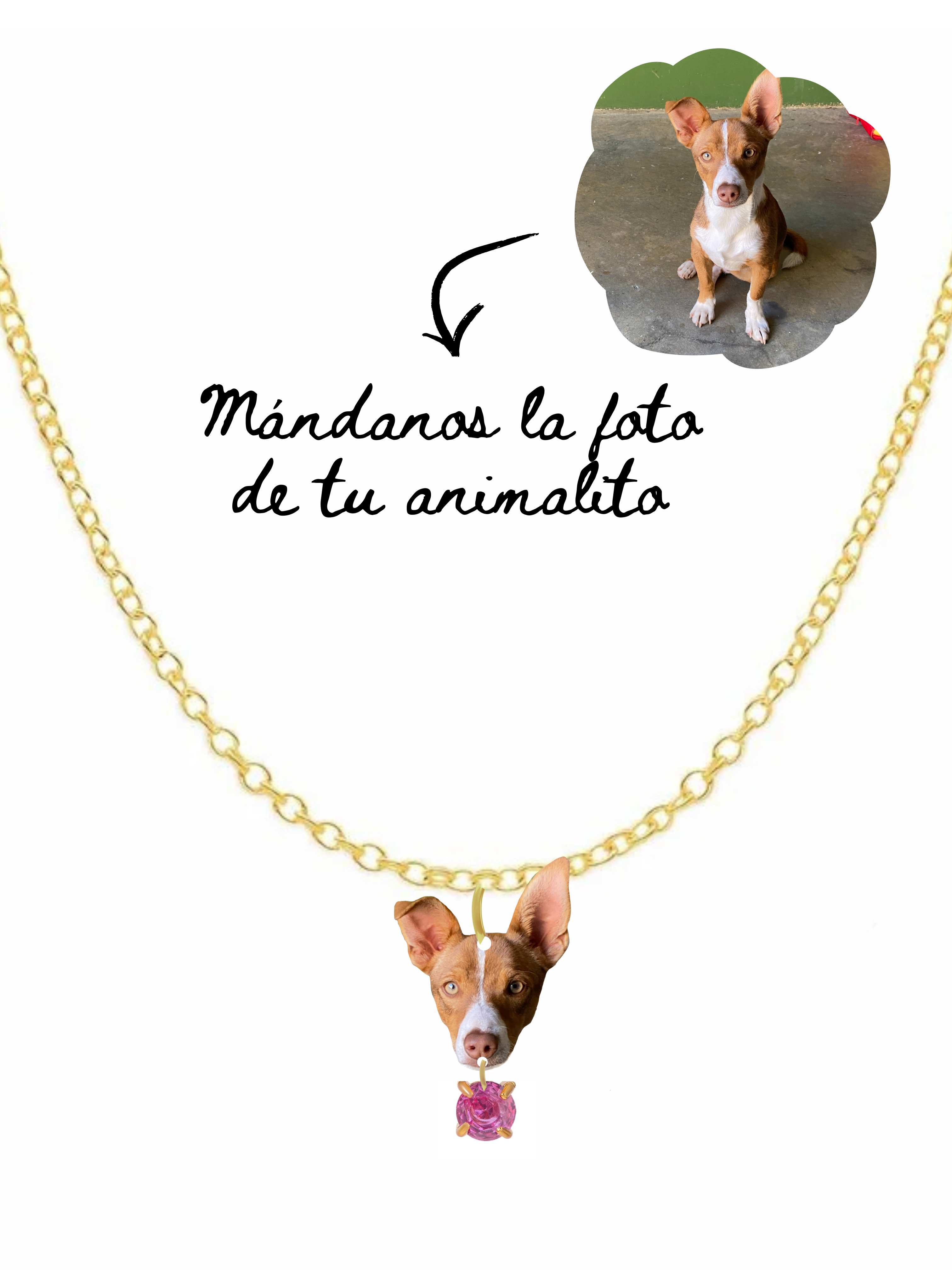 ARLIVI'S | Collar Animalito
