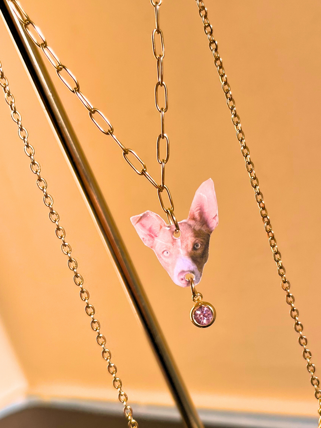 ARLIVI'S | Collar Animalito
