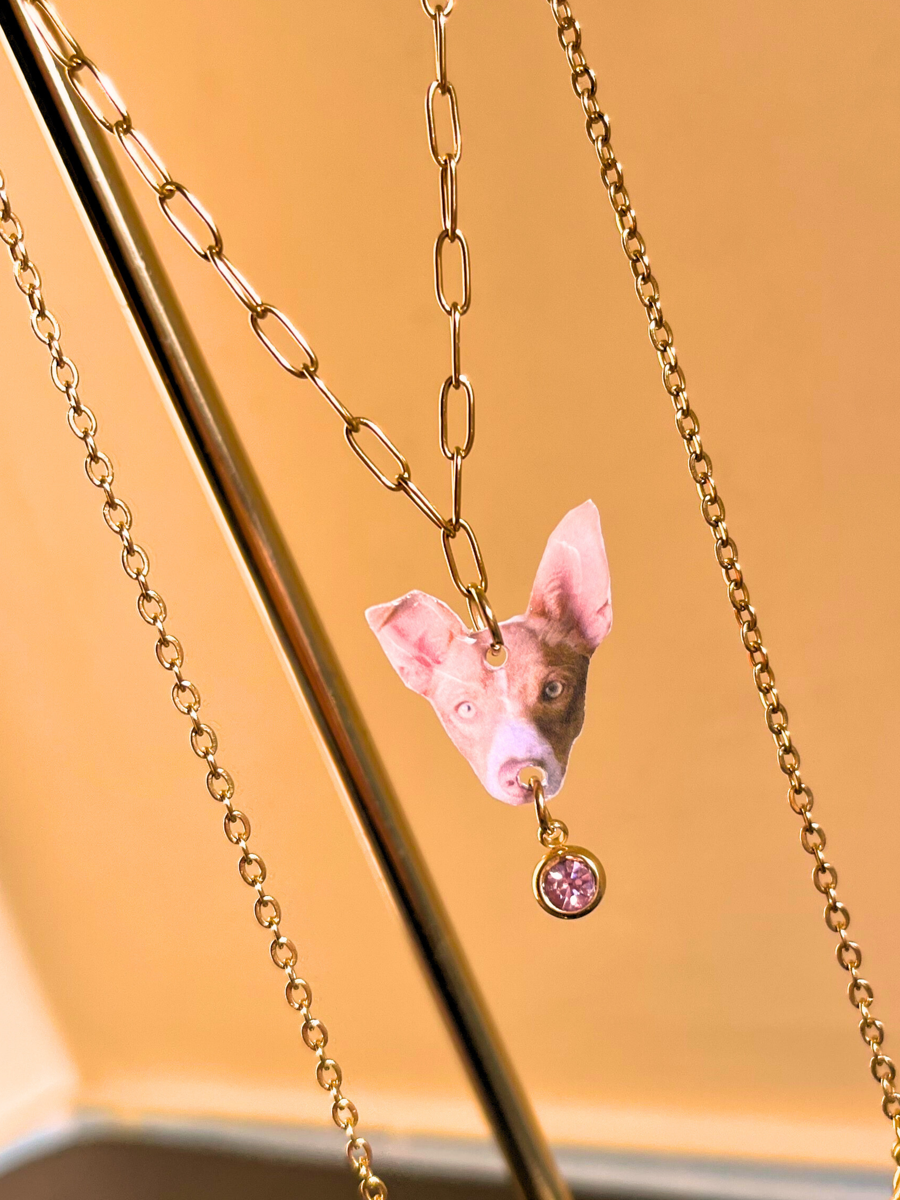 ARLIVI'S | Collar Animalito